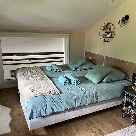Duplex 3 Chambres Vue Mont-Blanc Domancy Exterior foto